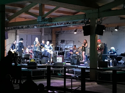 Concerto Finardi